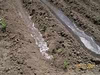 /album/proceso/a100-1758-copiar-jpg/